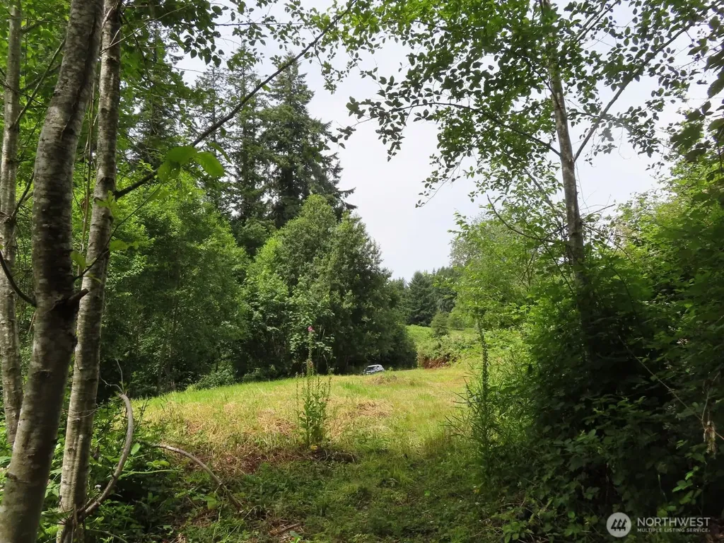 0 Coleman Road Mossyrock WA 98564