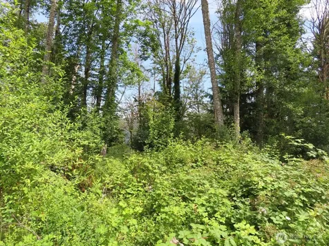 0 Coleman Road Mossyrock WA 98564
