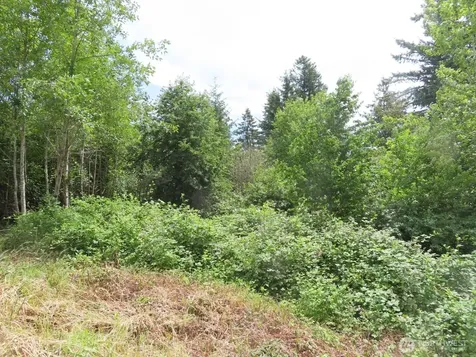 0 Coleman Road Mossyrock WA 98564