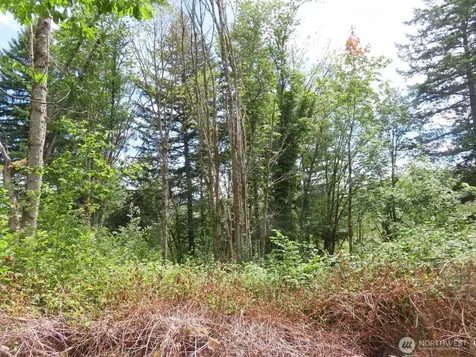 0 Coleman Road Mossyrock WA 98564