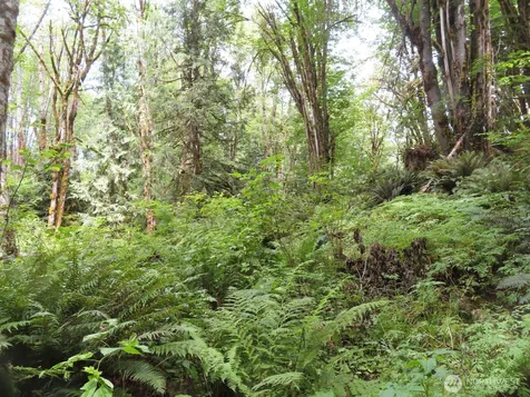 0 Valley View Drive Mossyrock WA 98564