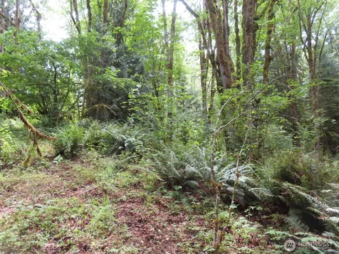 0 Valley View Drive Mossyrock WA 98564