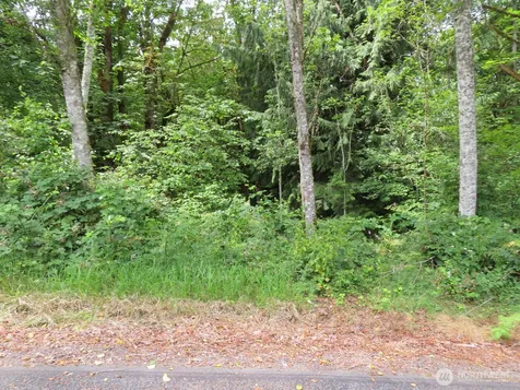 0 Valley View Drive Mossyrock WA 98564