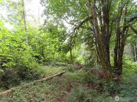 0 Valley View Drive Mossyrock WA 98564