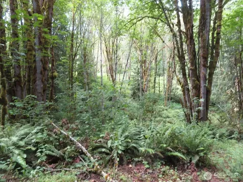 0 Valley View Drive Mossyrock WA 98564