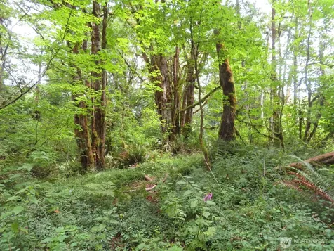 0 Valley View Drive Mossyrock WA 98564