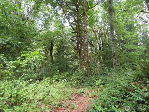 0 Valley View Drive Mossyrock WA 98564