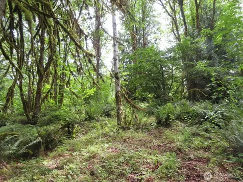 0 Valley View Drive Mossyrock WA 98564
