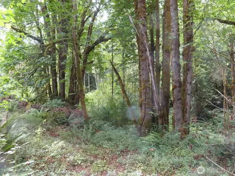 0 Valley View Drive Mossyrock WA 98564