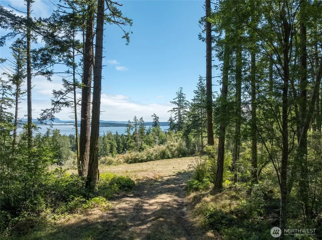 207 Suntides Lane Lopez Island WA 98261