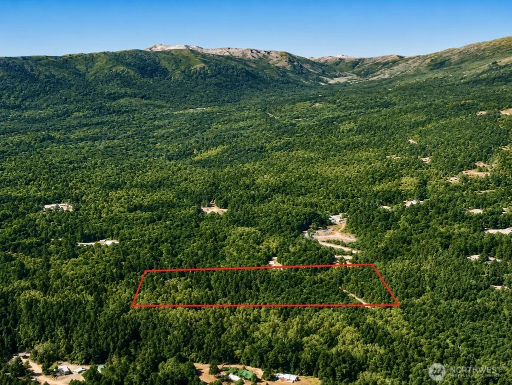 1400 Sunrise Road Brinnon WA 98320