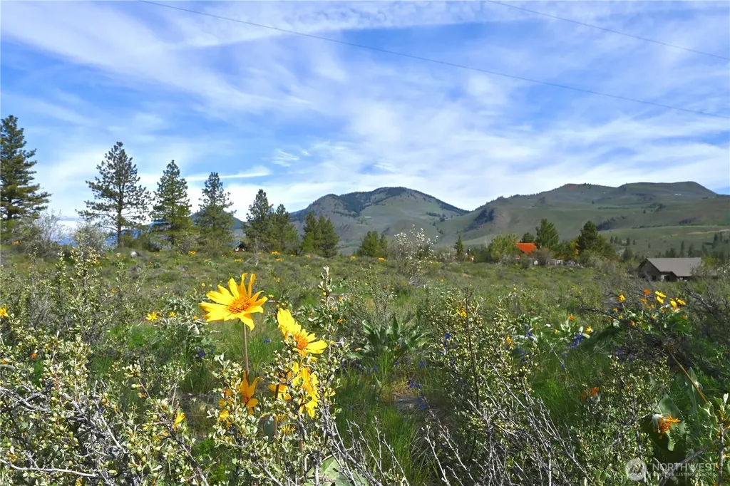 0 Green Meadows Winthrop WA 98862