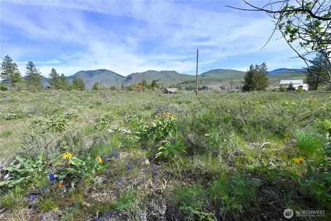 0 Green Meadows Winthrop WA 98862