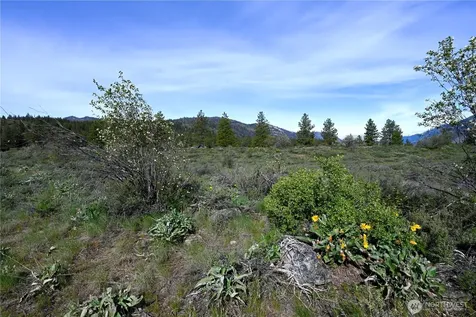 0 Green Meadows Winthrop WA 98862