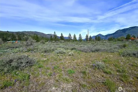 0 Green Meadows Winthrop WA 98862