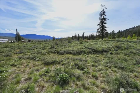 0 Green Meadows Winthrop WA 98862