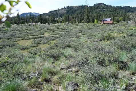 0 Green Meadows Winthrop WA 98862