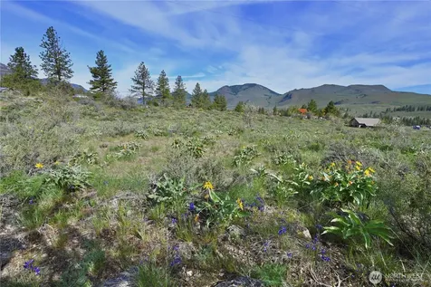 0 Green Meadows Winthrop WA 98862