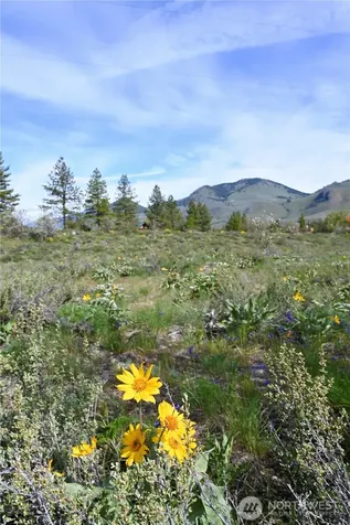 0 Green Meadows Winthrop WA 98862