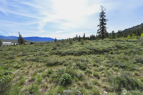 0 Green Meadows Winthrop WA 98862
