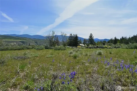 0 Green Meadows Winthrop WA 98862