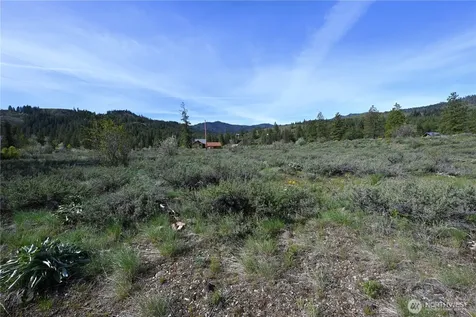 0 Green Meadows Winthrop WA 98862