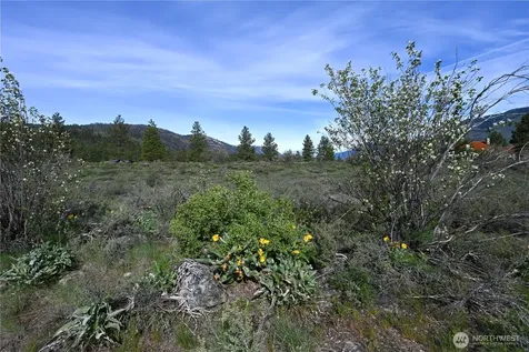 0 Green Meadows Winthrop WA 98862