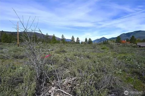 0 Green Meadows Winthrop WA 98862