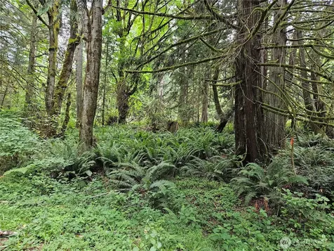 1 Smith Lane Quilcene WA 98376