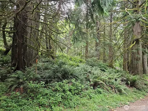1 Smith Lane Quilcene WA 98376