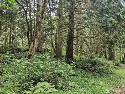 1 Smith Lane Quilcene WA 98376