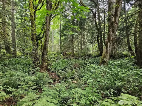 1 Smith Lane Quilcene WA 98376