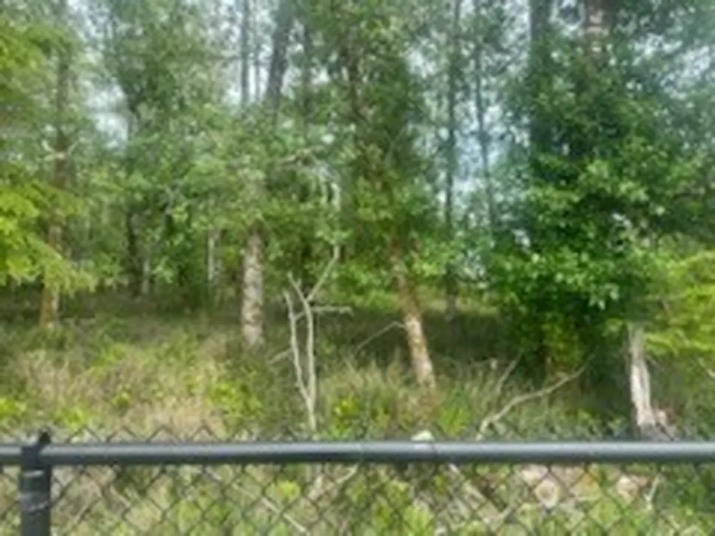 543 Duck Lake Drive NE Ocean Shores WA 98569