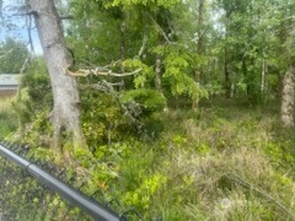 543 Duck Lake Drive NE Ocean Shores WA 98569