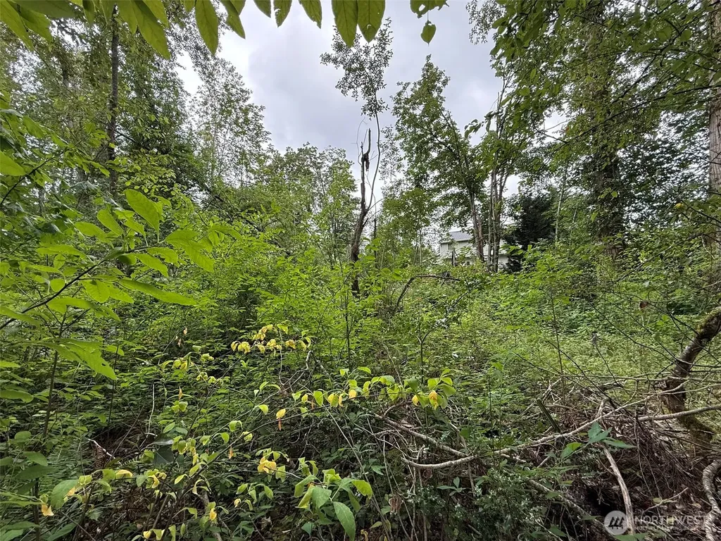 1810 S 27th Street Renton WA 98055