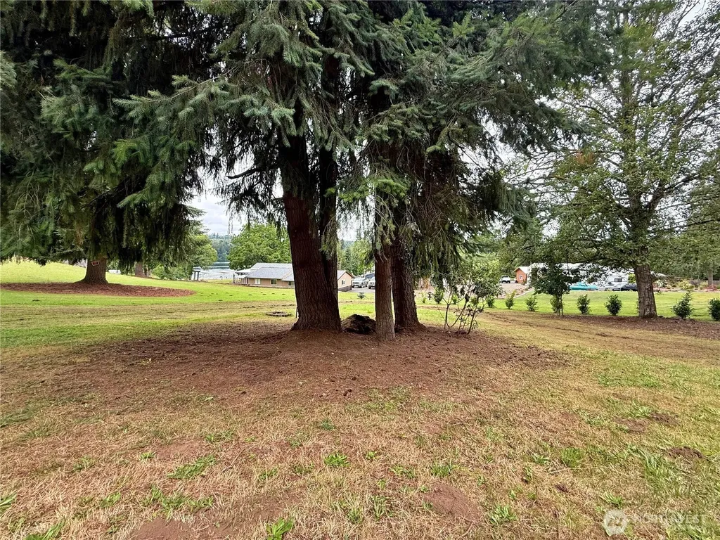 3459 Us Highway 12 Silver Creek WA 98564