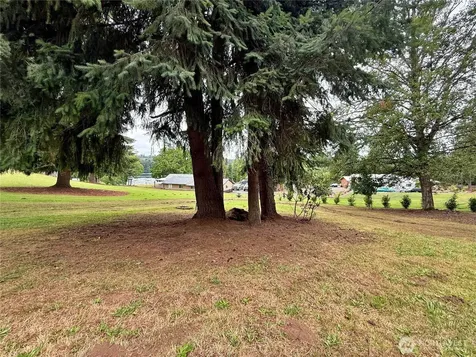 3459 Us Highway 12 Silver Creek WA 98564