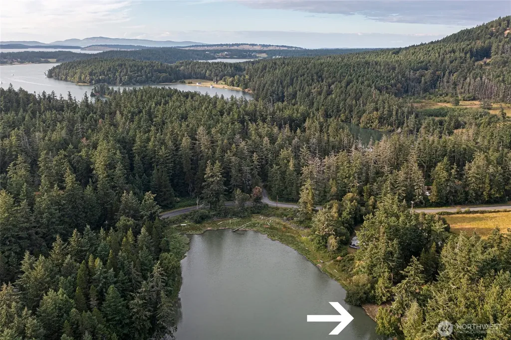 42 Kingfisher Lane Friday Harbor WA 98250