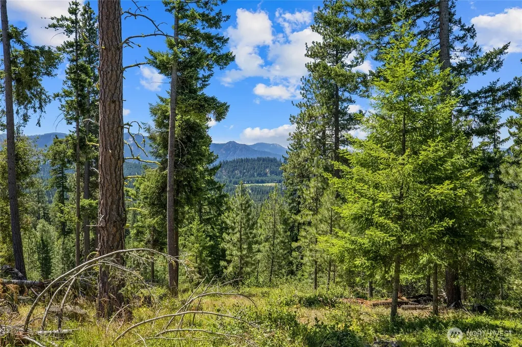 4 Red Sky Way Cle Elum WA 98922