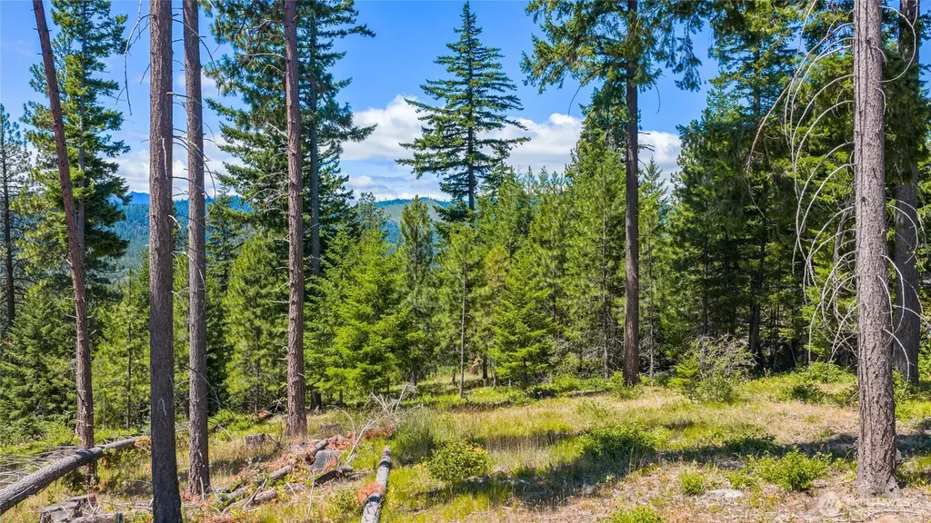 4 Red Sky Way Cle Elum WA 98922