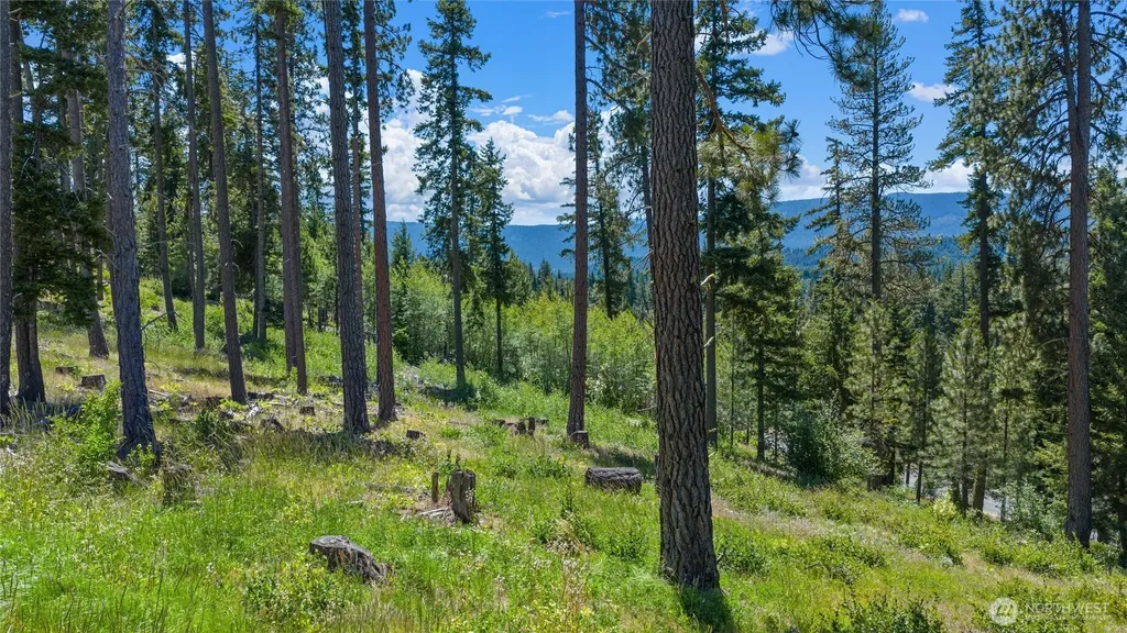 4 Red Sky Way Cle Elum WA 98922