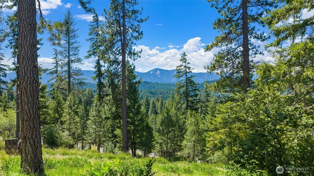 4 Red Sky Way Cle Elum WA 98922
