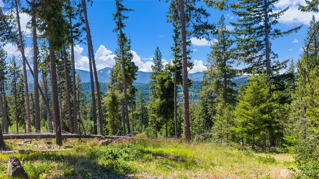 4 Red Sky Way Cle Elum WA 98922