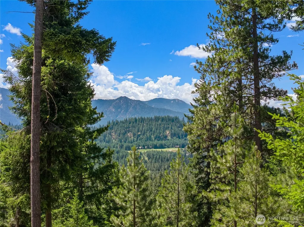4 Red Sky Way Cle Elum WA 98922