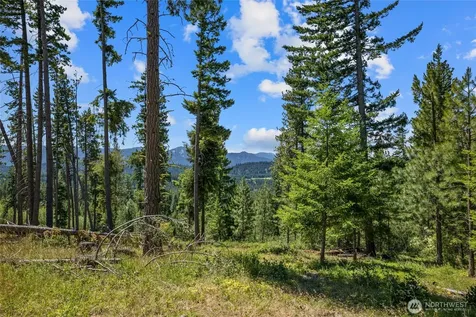 4 Red Sky Way Cle Elum WA 98922
