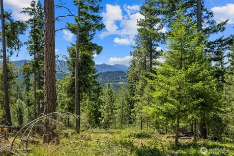 4 Red Sky Way Cle Elum WA 98922