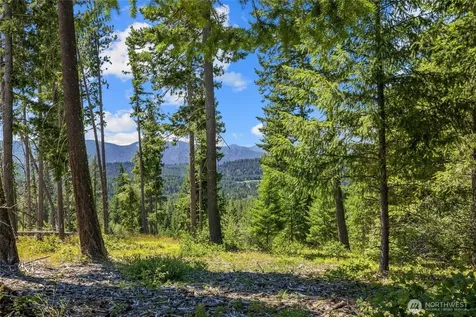 4 Red Sky Way Cle Elum WA 98922