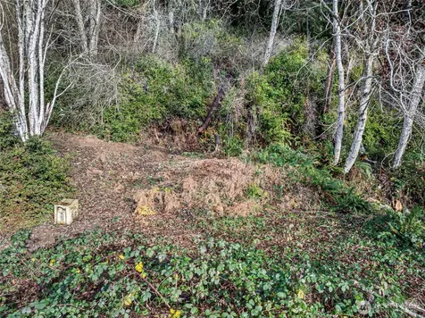 7364 NE North Shore Road Belfair WA 98528