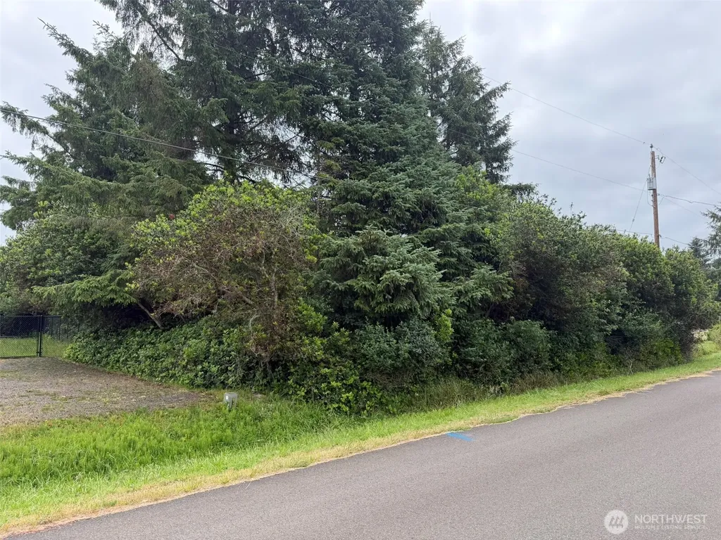 186 Wishkah Street SW Ocean Shores WA 98569