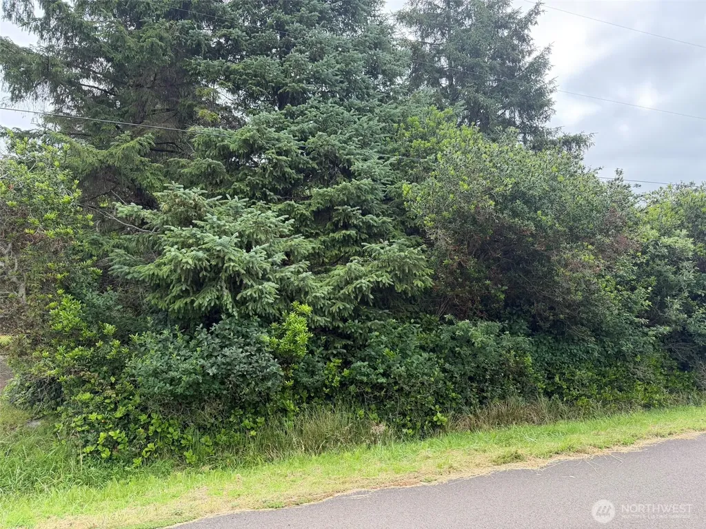 186 Wishkah Street SW Ocean Shores WA 98569